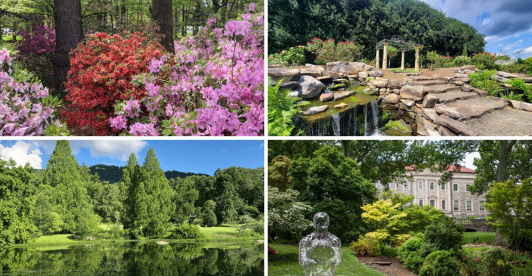 8 Tennessee Botanical Gardens Worth The Drive This Summer