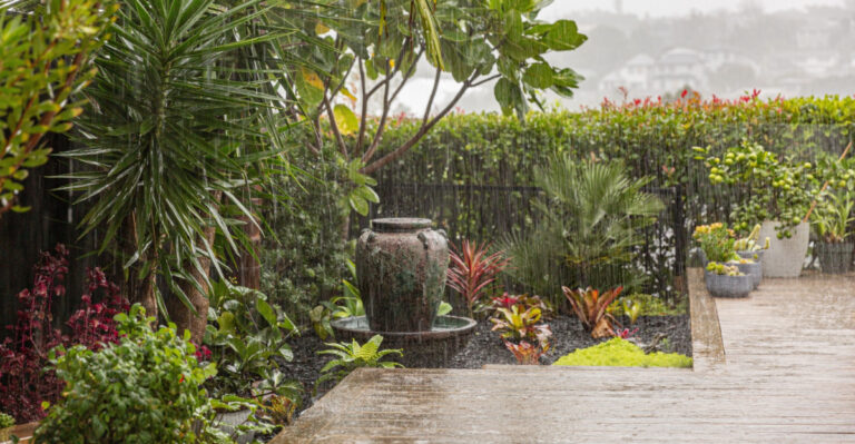 8 Things Florida Gardeners Should Stop Doing Once The Rainy Season Starts