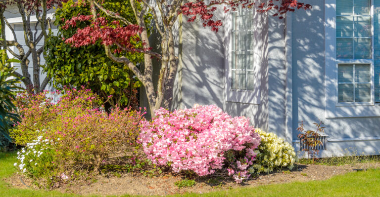 © Image Credit: Nature's Charm / Shutterstock