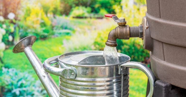 8 Ways To Collect Rainwater During Massachusetts’ Level 3 Drought
