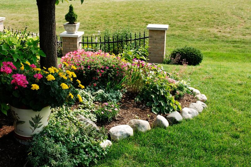 A Better Looking Yard When The Edge Is Defined
