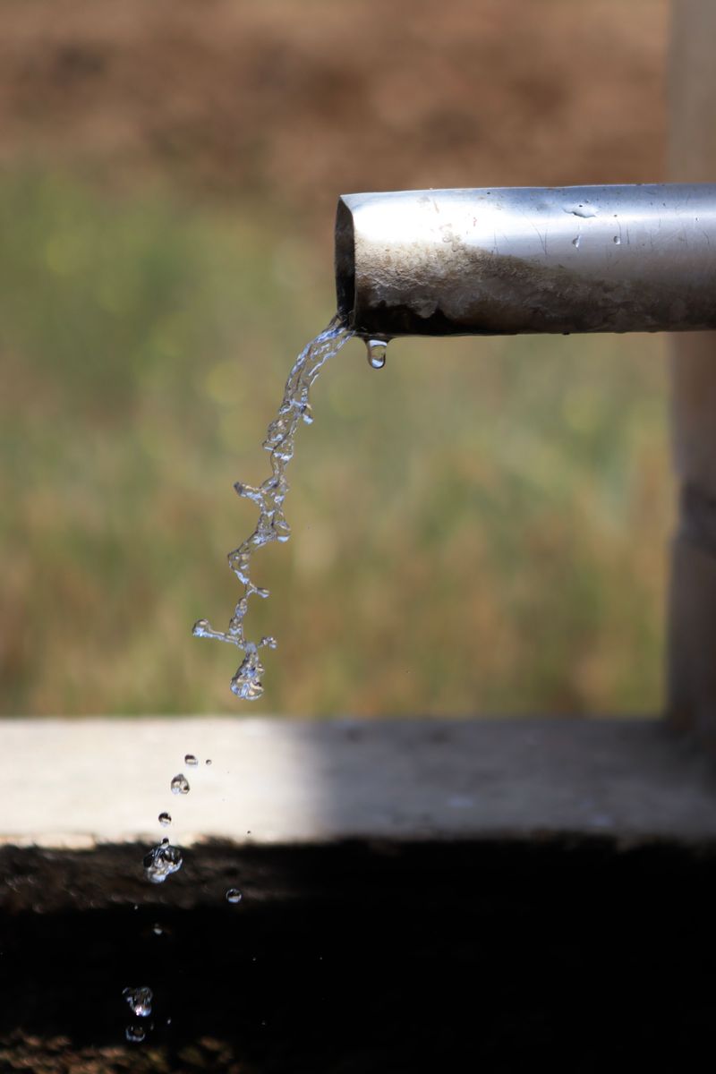 A Clean Water Source Is Close By A Clean Water Source Is Close By