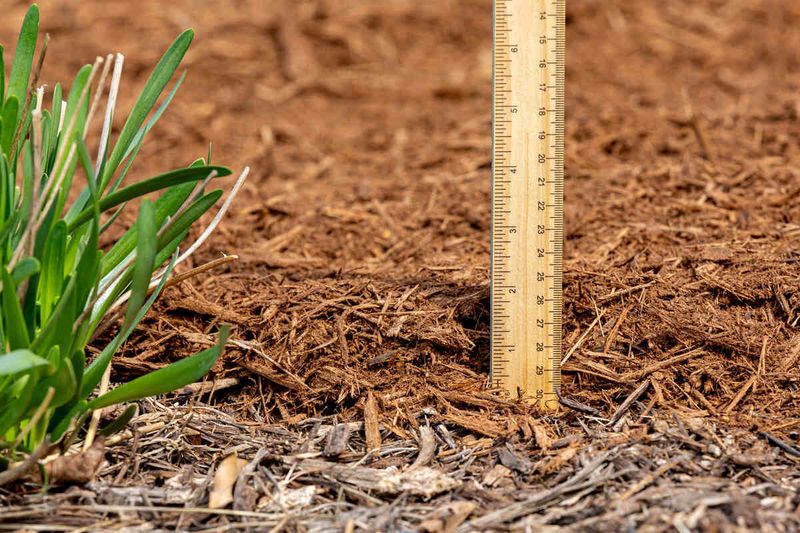 A Flat Mulch Layer Works Better