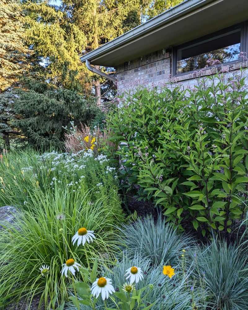 A Safer Place For Pollinators To Shelter