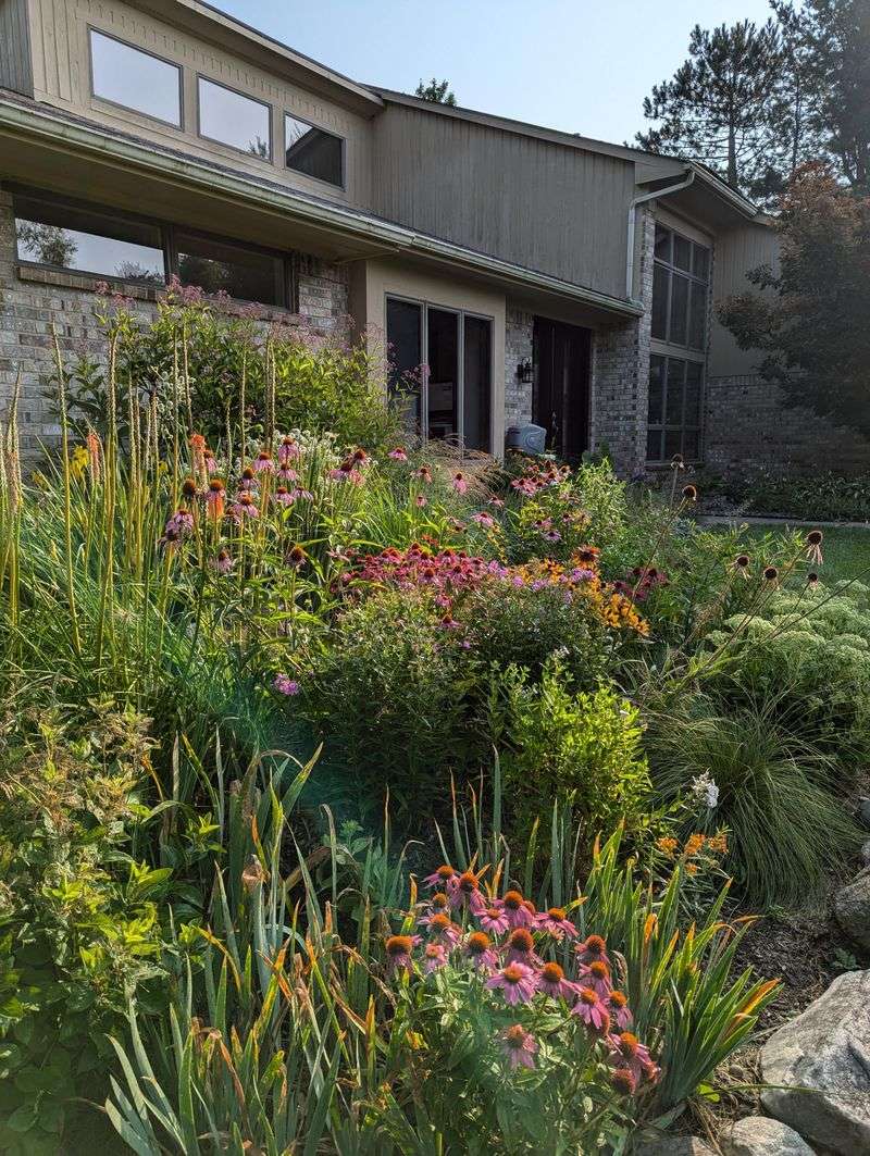 A Small Habitat That Still Needs A Plan