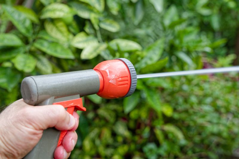 A Strong Water Spray Can Help A Strong Water Spray Can Help