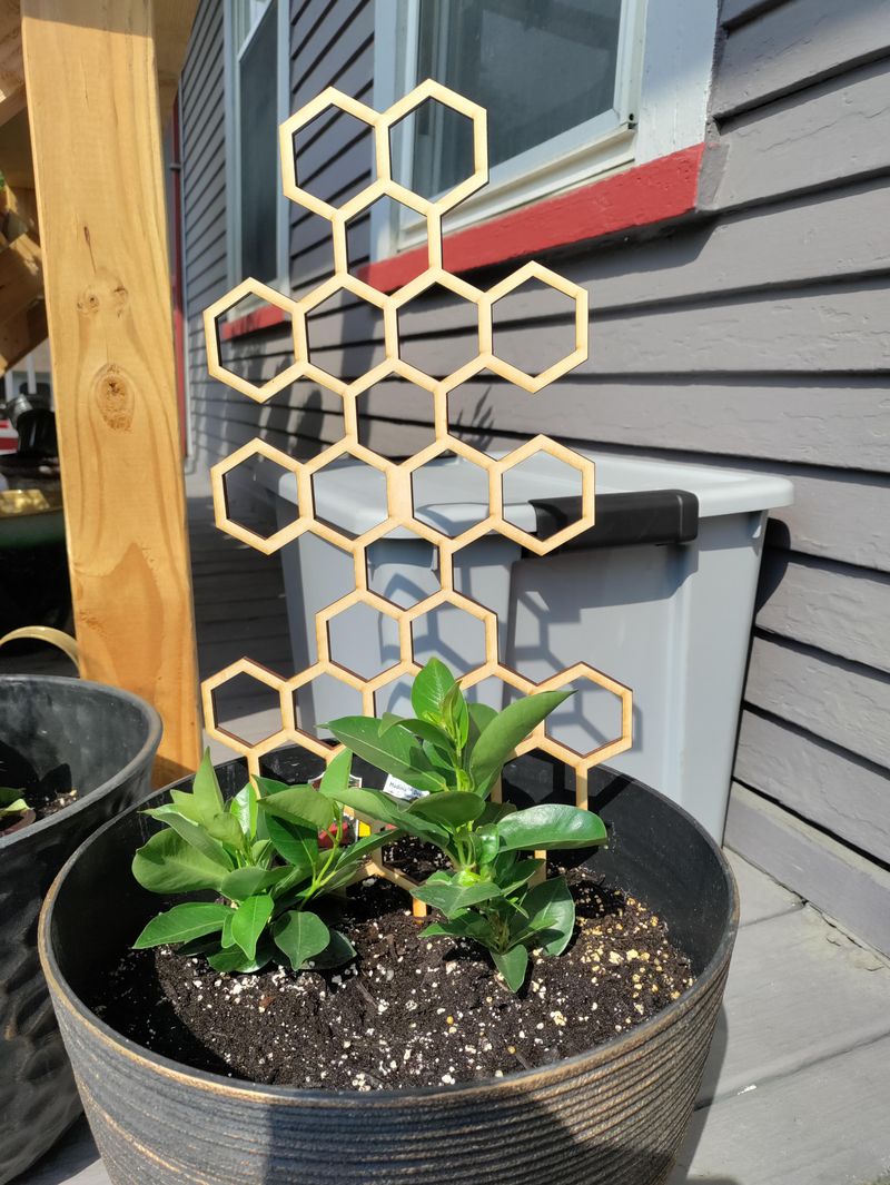 A Well-Drained Potting Mix