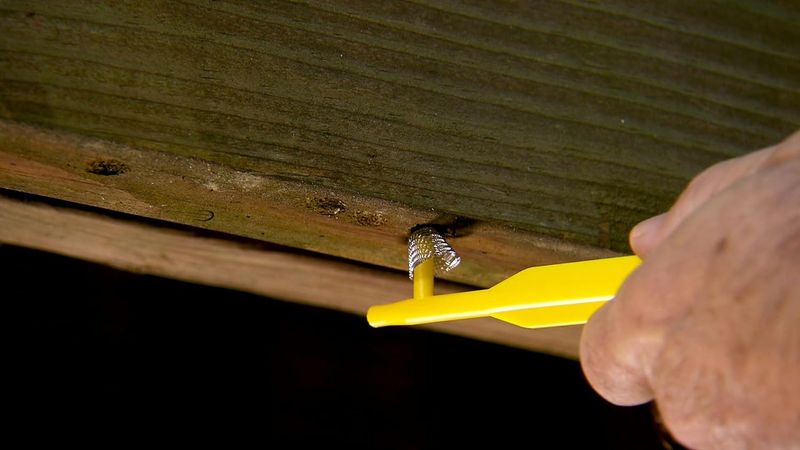 Active Holes Need Careful Timing Before Sealing