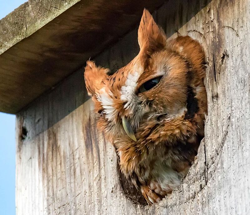 Active Nests Must Be Left Alone