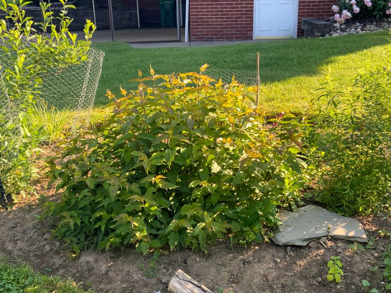 Adaptable Soil Conditions Across Michigan Gardens Adaptable Soil Conditions Across Michigan Gardens