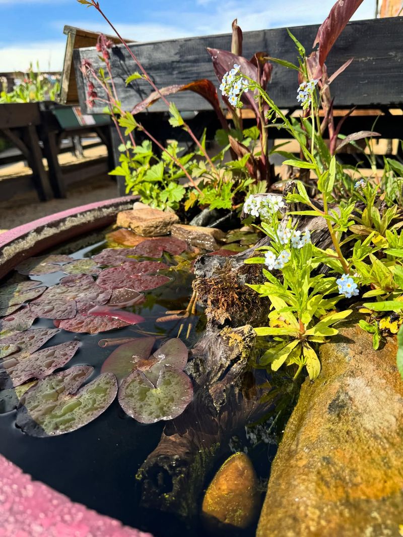 Add A Small Water Feature That Holds Water Longer