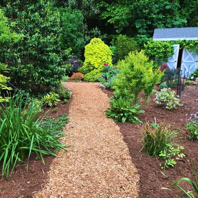 Add A Two To Four Inch Mulch Layer Add A Two To Four Inch Mulch Layer
