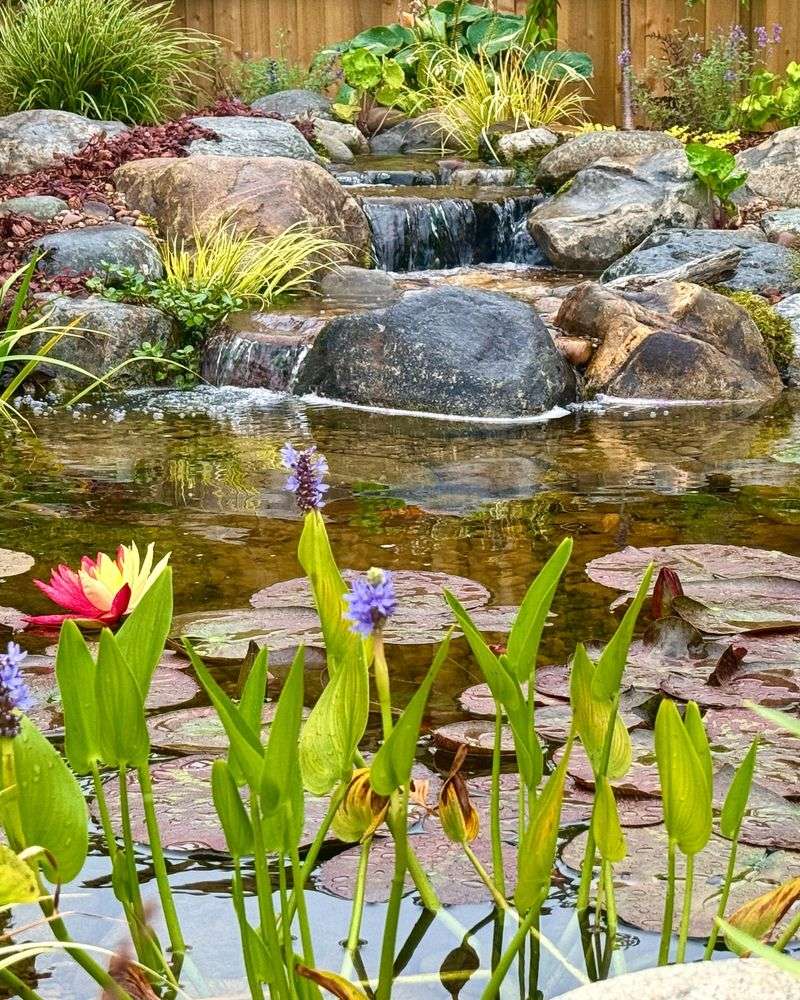 Add A Water Feature Like A Pond Or Water Garden