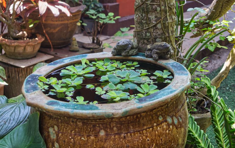 Add A Water Source To Your Outdoor Space Add A Water Source To Your Outdoor Space