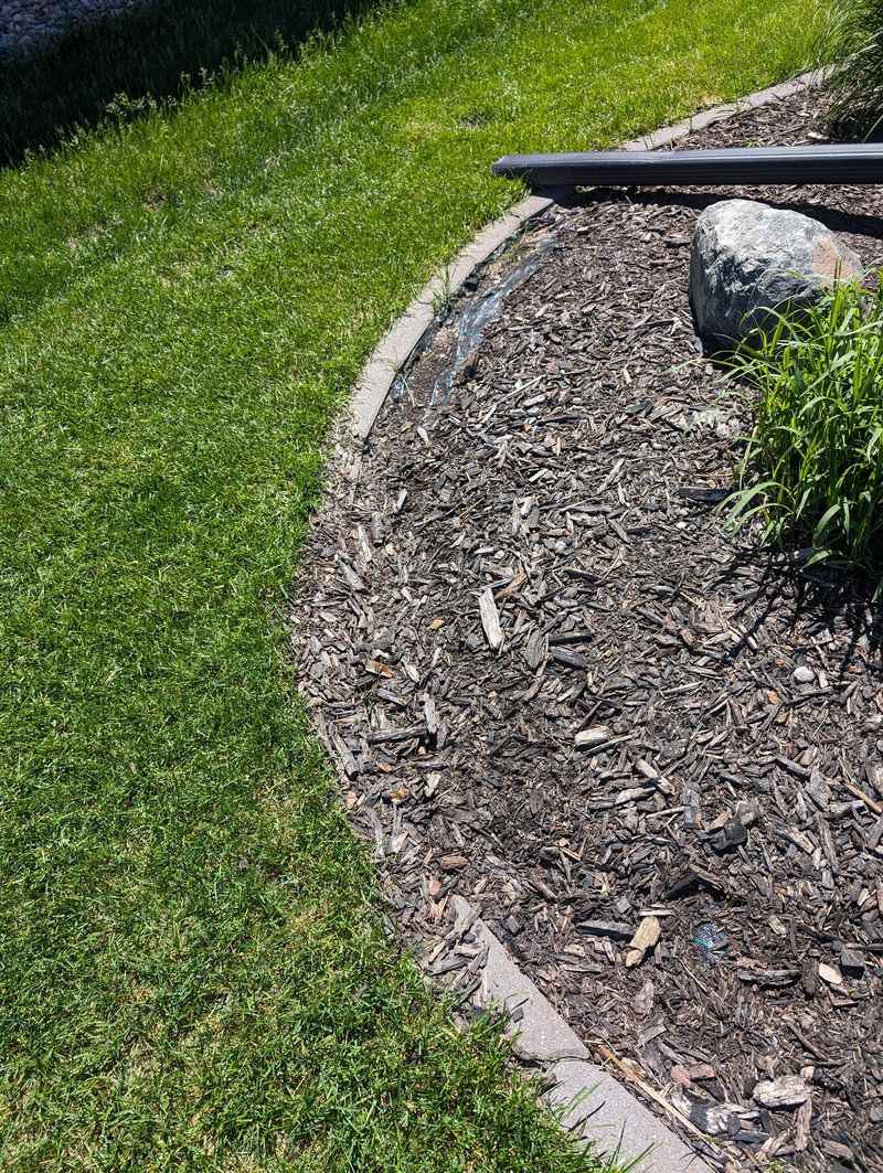 Add A Wood Chip Border