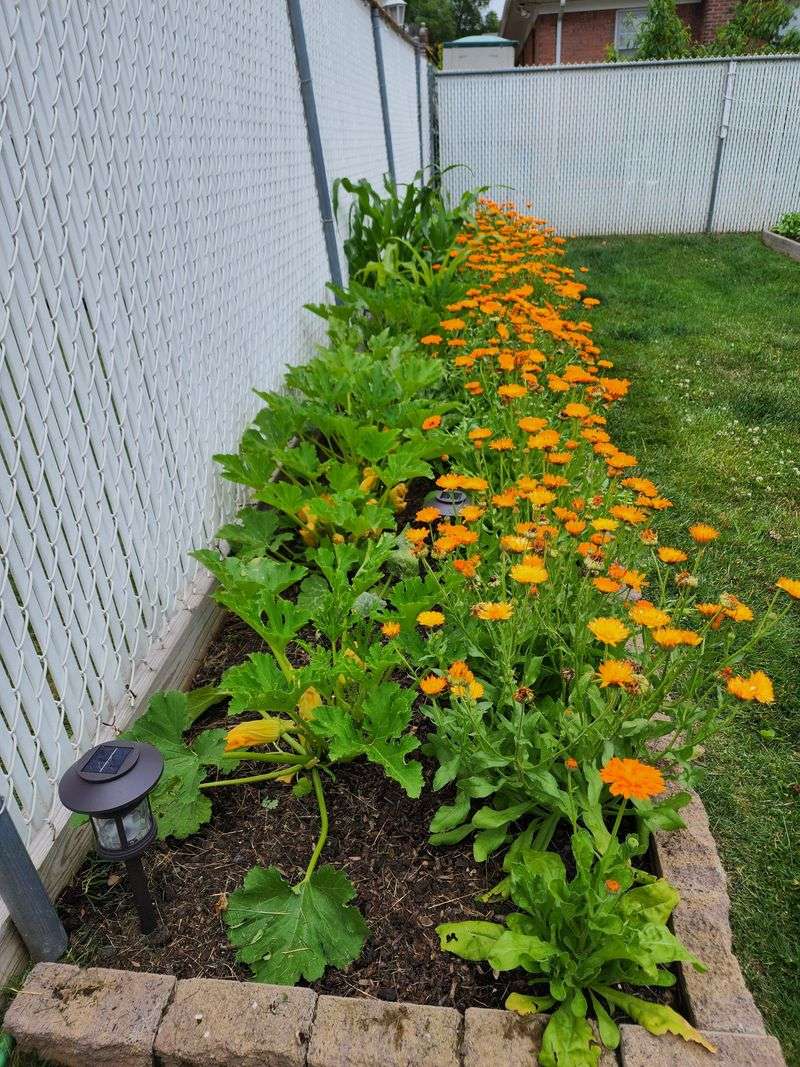 Add It To Annual Flower Beds