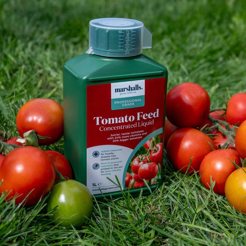 Add Liquid Feed When Plants Slow Down In Heat