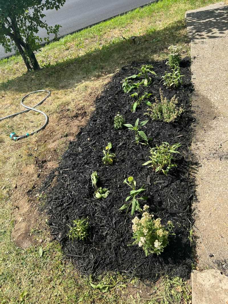 Add Mulch Around Your Plants