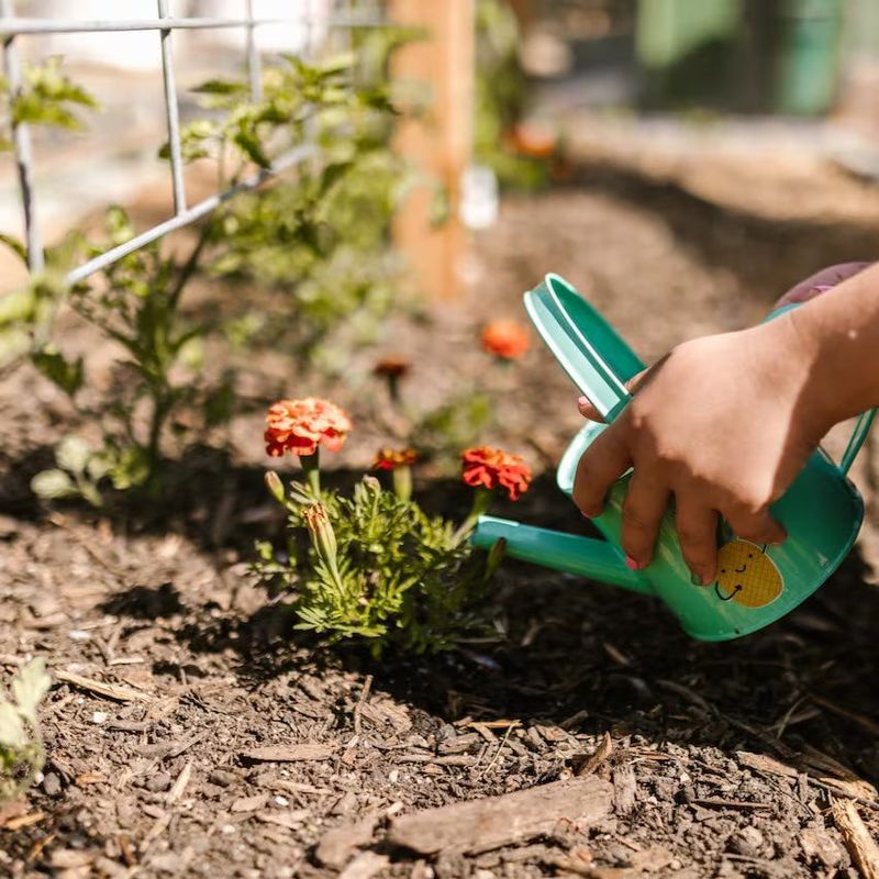 Add Mulch Before Heat Peaks