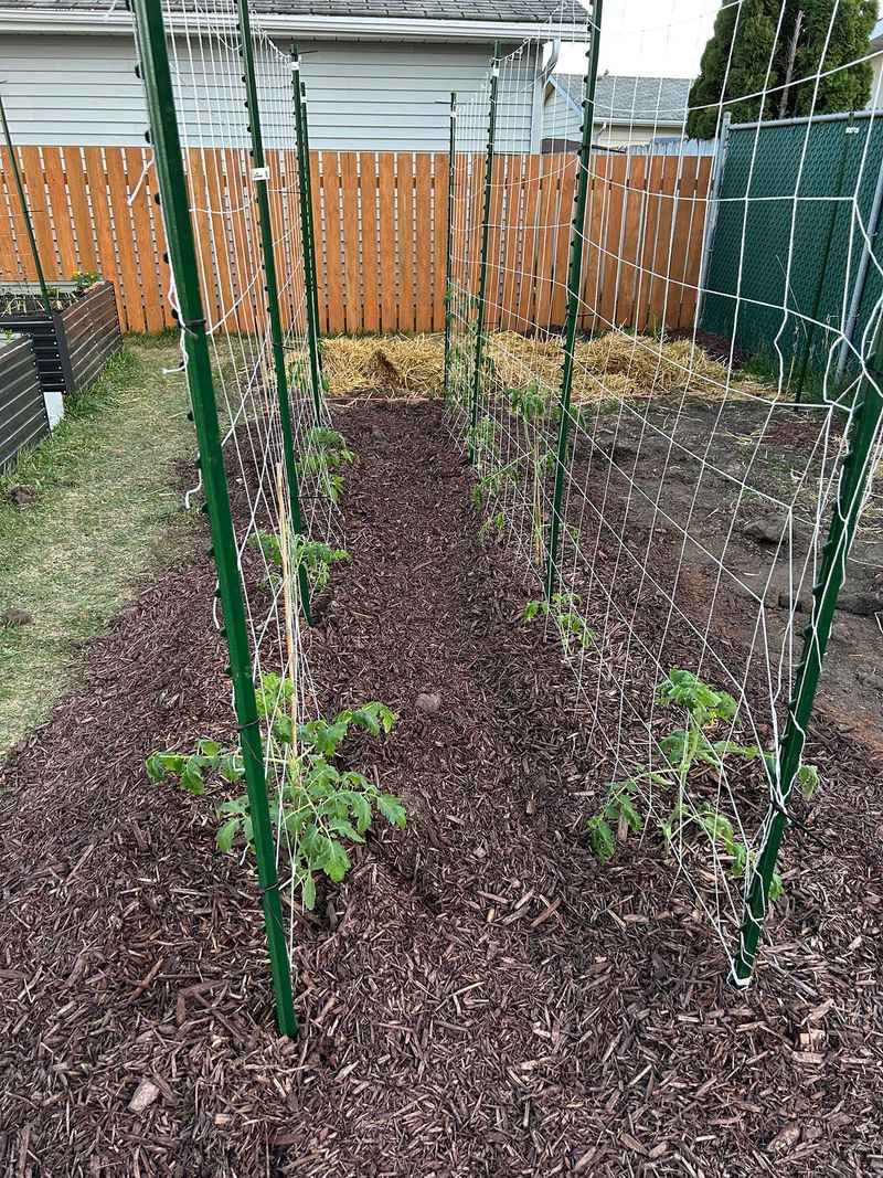 Add Mulch Before Soil Temperatures Climb Higher