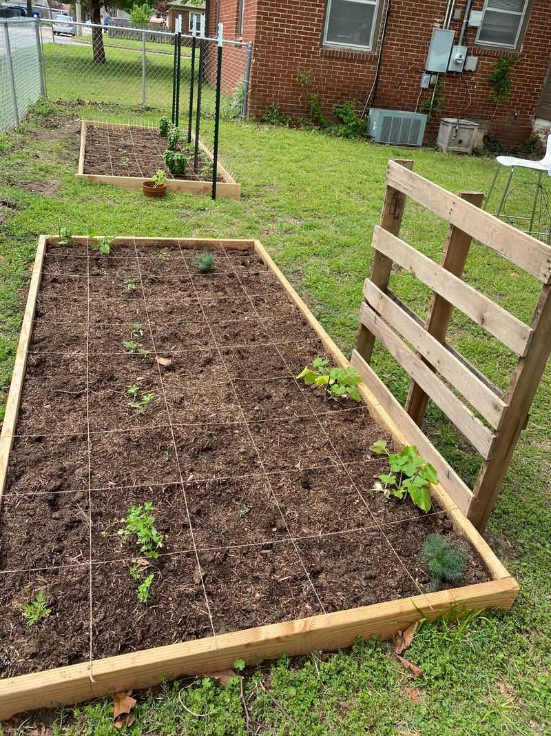 Add Mulch To Protect Soil From Heavy Rain