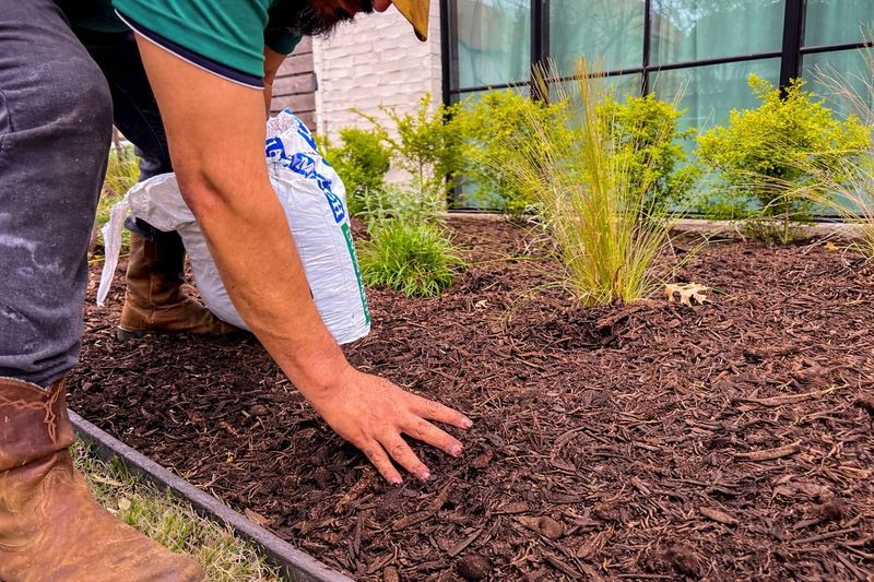Add Mulch To Slow Soil Moisture Loss Add Mulch To Slow Soil Moisture Loss