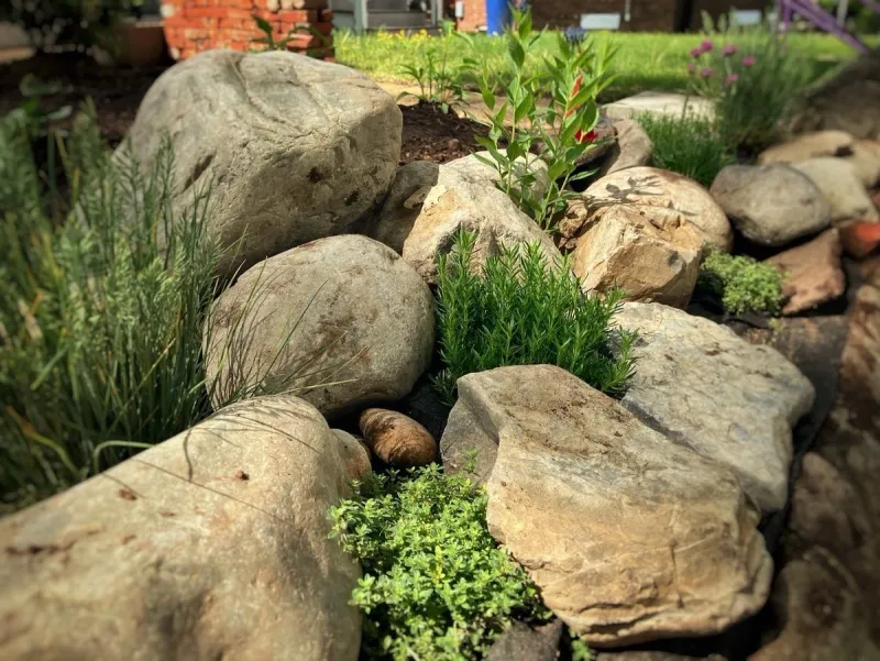 Add Perches Like Rocks, Sticks, Or Garden Stakes