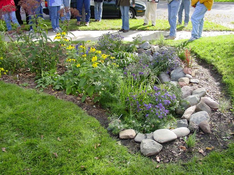 Add Rain Garden Space Where Water Can Slow Down