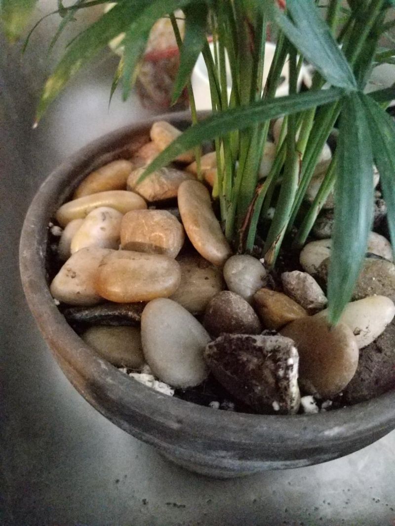 Adding Rocks That Increase Weight
