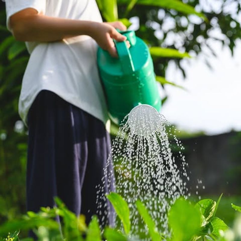 Adjust Watering As Temperatures Rise