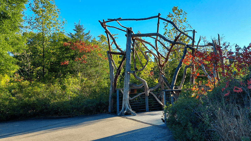 Adkins Arboretum