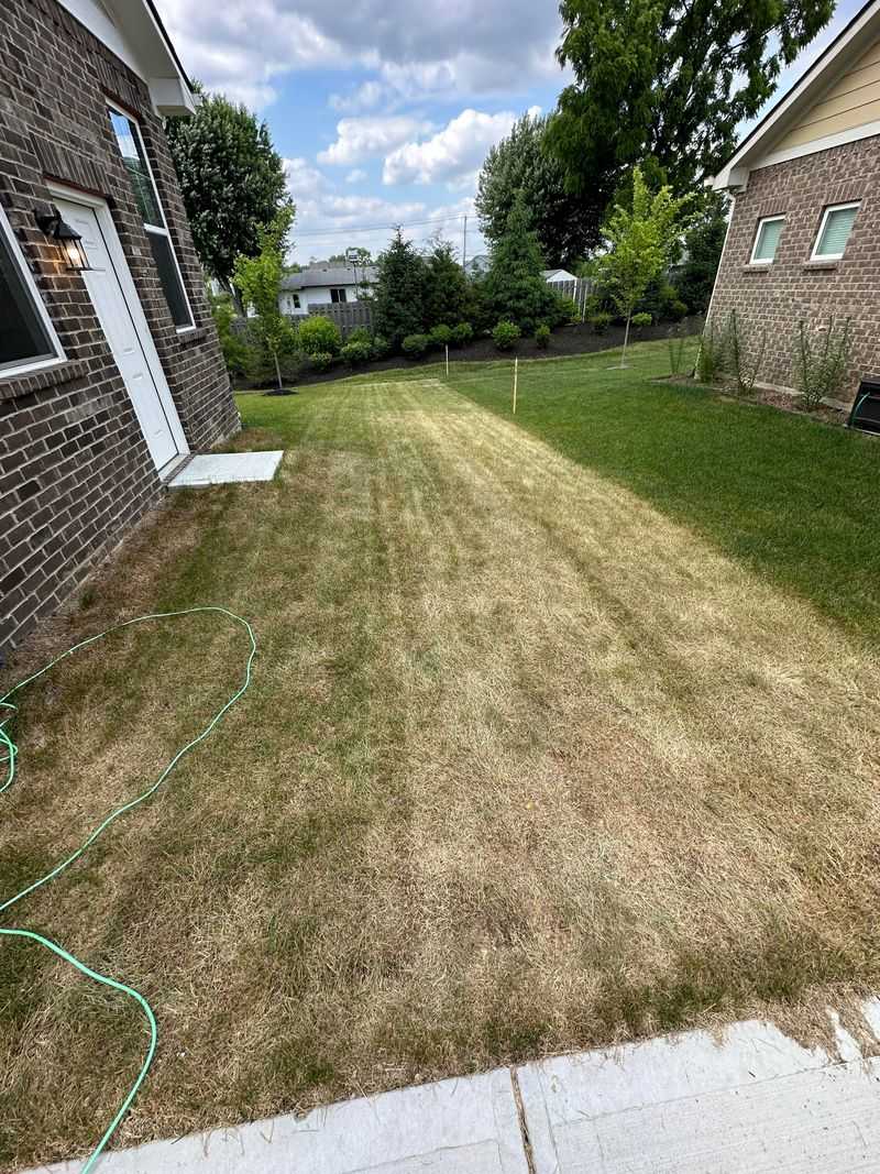 Aerate And Dethatch To Make Your Lawn Less Mole-Friendly 