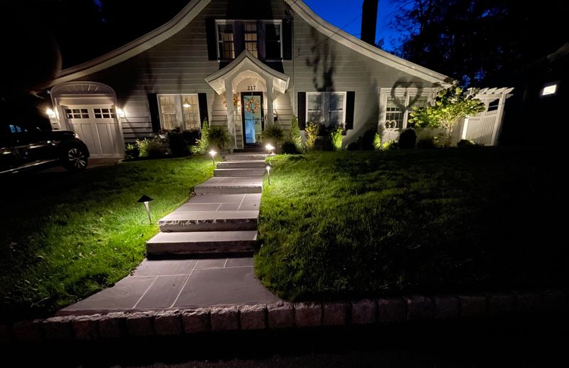 All-Night Lighting Shrinks Dark Resting Time All-Night Lighting Shrinks Dark Resting Time