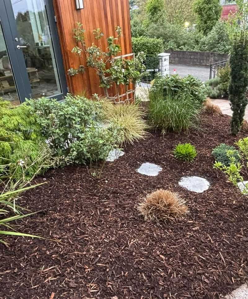 Allowing Dense Ground Covers To Grow Through Mulch Allowing Dense Ground Covers To Grow Through Mulch