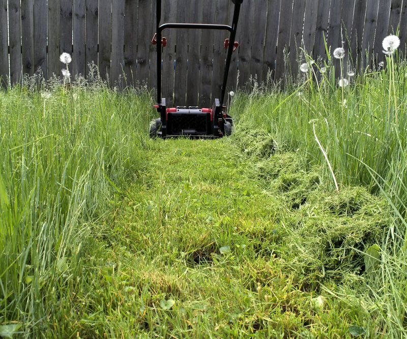 Allowing Weeds To Grow Around The Pile Allowing Weeds To Grow Around The Pile