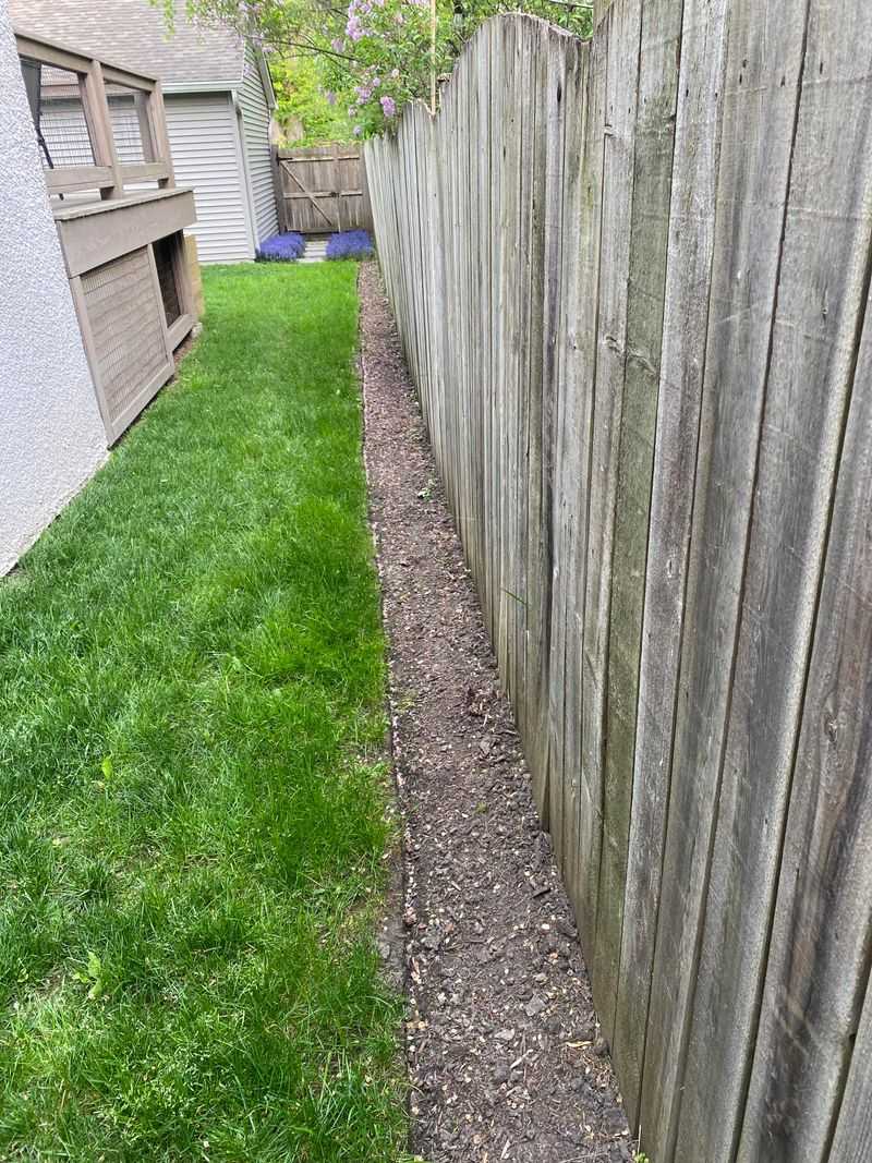 Along Fence Lines And Property Edges Along Fence Lines And Property Edges