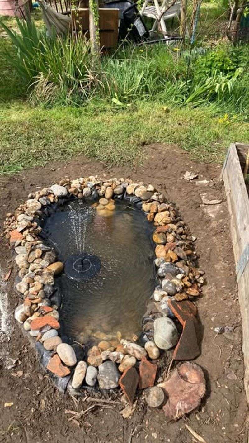 Amend Surrounding Soil If Needed