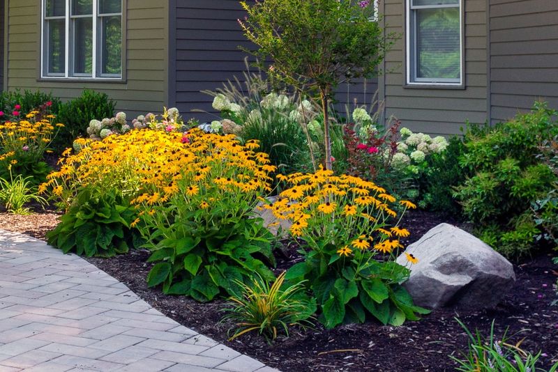Apply A Thin Layer Of Mulch Apply A Thin Layer Of Mulch
