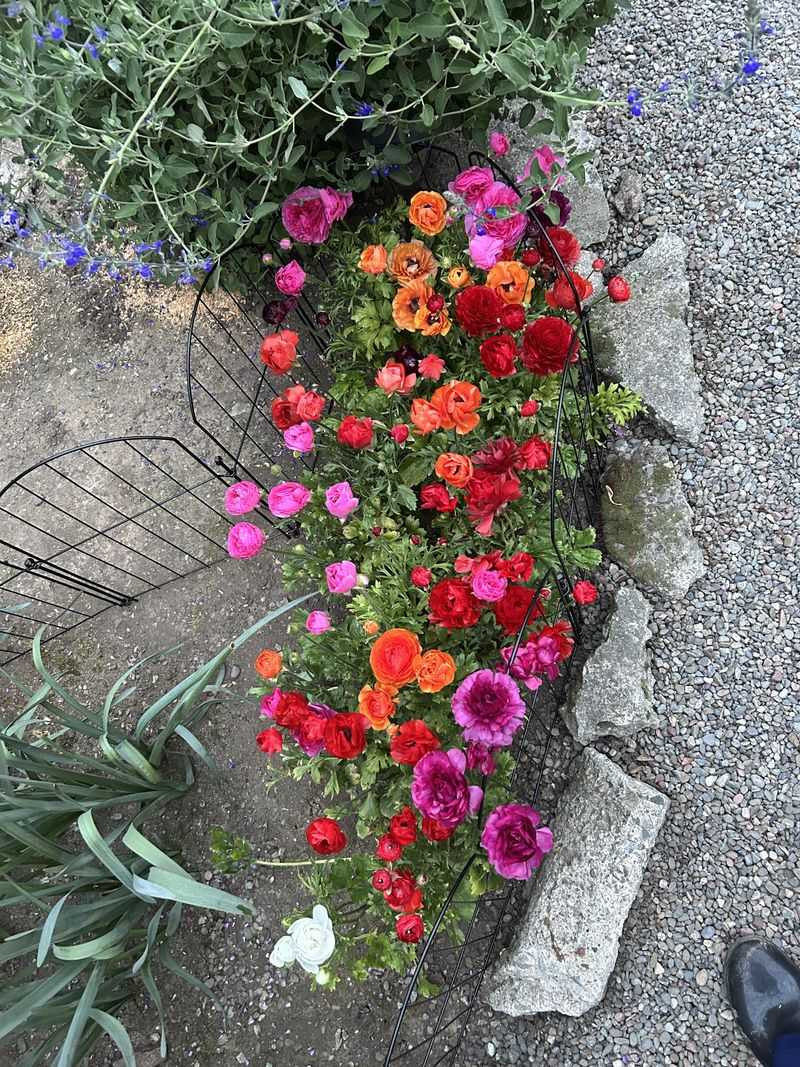 Apply Finished Compost As A Top Dressing