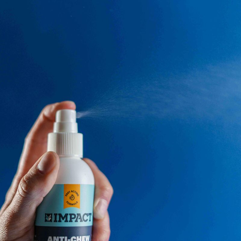 Apply Or Refresh Deer Deterrent Spray