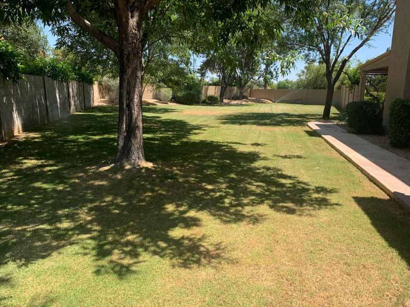 Applying Too Much Fertilizer Can Stress Summer Lawns Applying Too Much Fertilizer Can Stress Summer Lawns