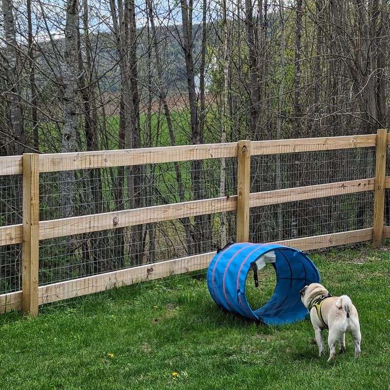 Around Pet Resting And Play Areas