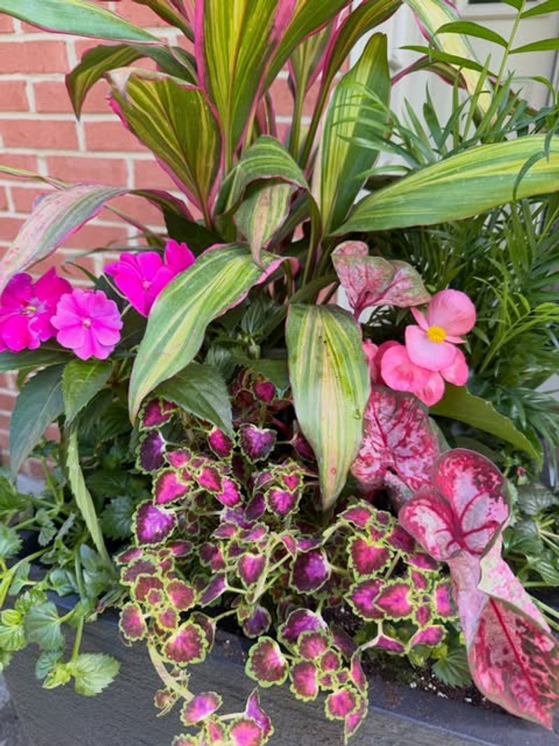 Arrange For Sun And Shade Patterns On Your Lanai Arrange For Sun And Shade Patterns On Your Lanai