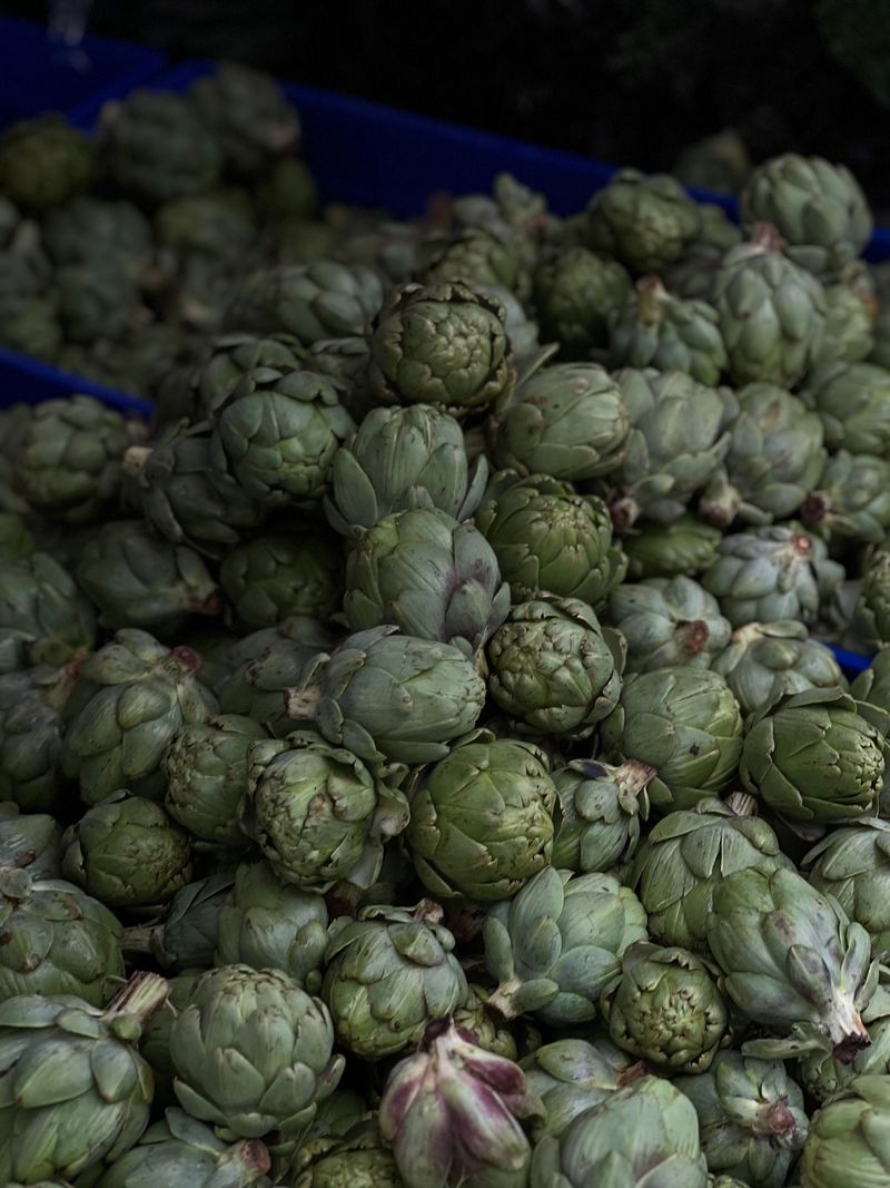 Artichoke Artichoke