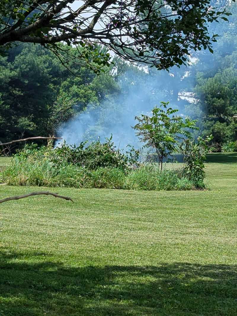 Avoid Burning Poison Ivy Debris Avoid Burning Poison Ivy Debris