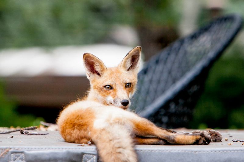Avoid Handling Unless Safety Requires It