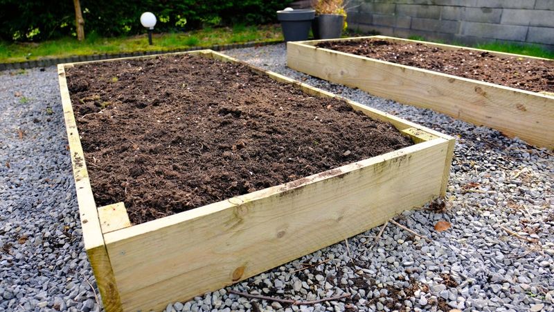 Avoid Heavy Clay Soil That Compacts After Rain