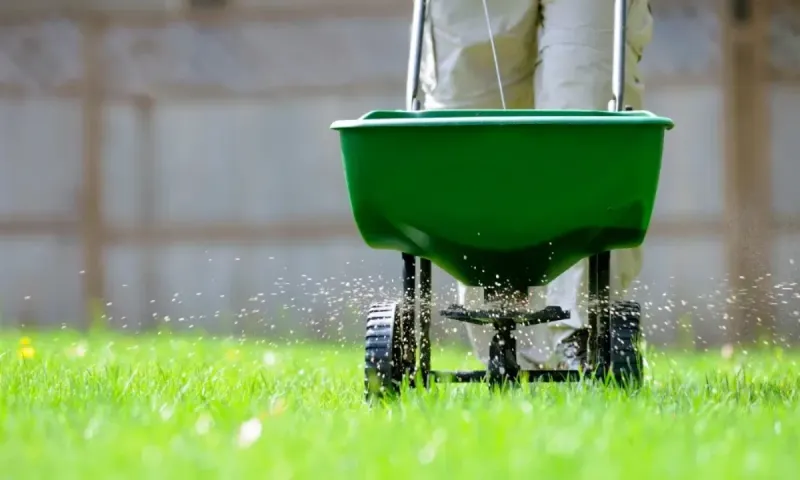 Avoid Heavy Fertilizing During Extreme Heat