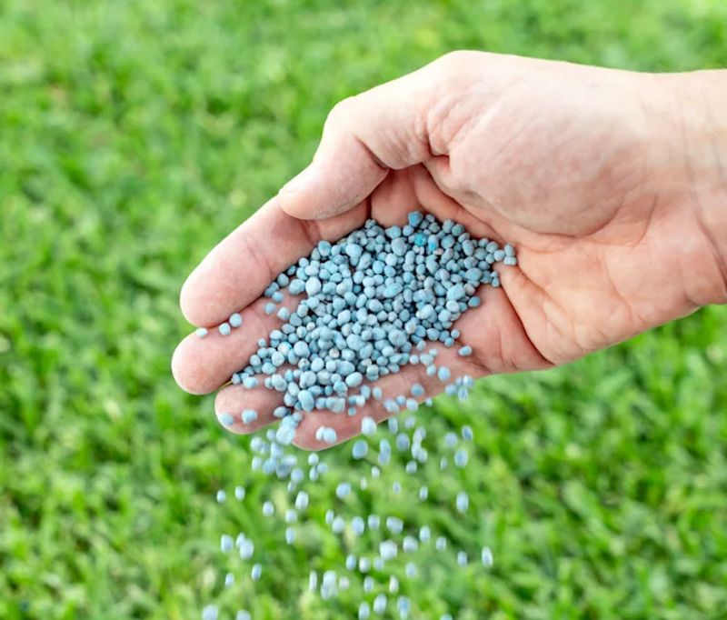 Avoid Heavy Nitrogen Applications During Extreme Heat Avoid Heavy Nitrogen Applications During Extreme Heat