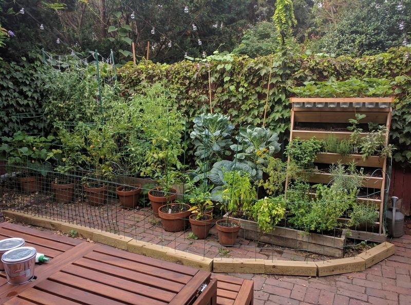 Avoid Heavy Pesticide Use Around Feeding Areas